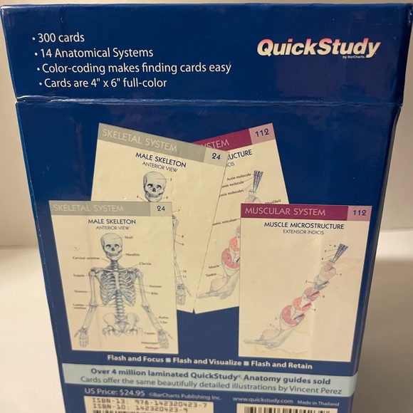 Quick Study Anatomy Flash Cards 300: 14 Systems NIB Nursing Medical Student - Picture 4 of 6